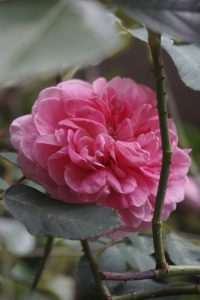 AML performance NZ not all rosy